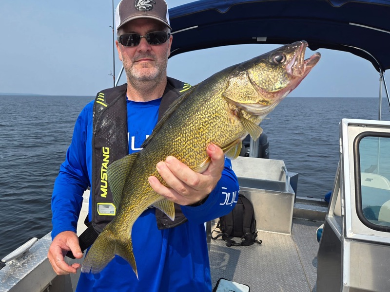 Young guest holding a walleye on a guided fishing trip