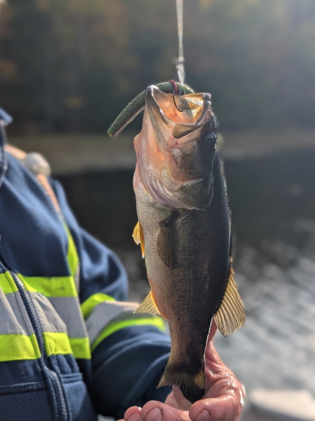 Largemouth bass held by an angler in fall fishing gear, ready for catch-and-release on the backcountry lake