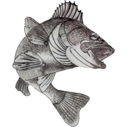 South River Resort logo